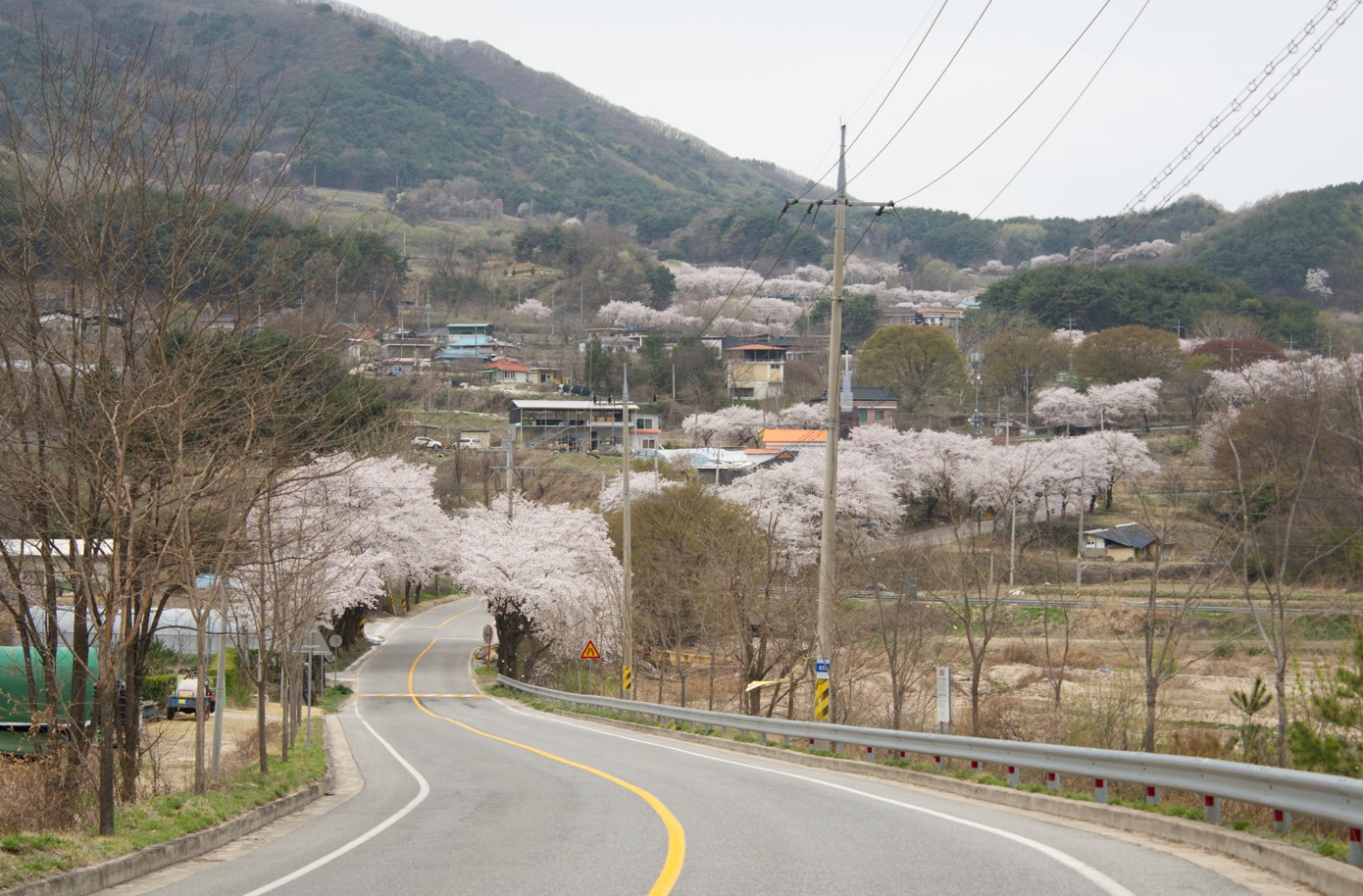 스크린샷 2025-04-13 230527.jpg