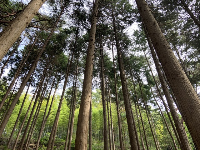 IMG_0337 중간.jpeg