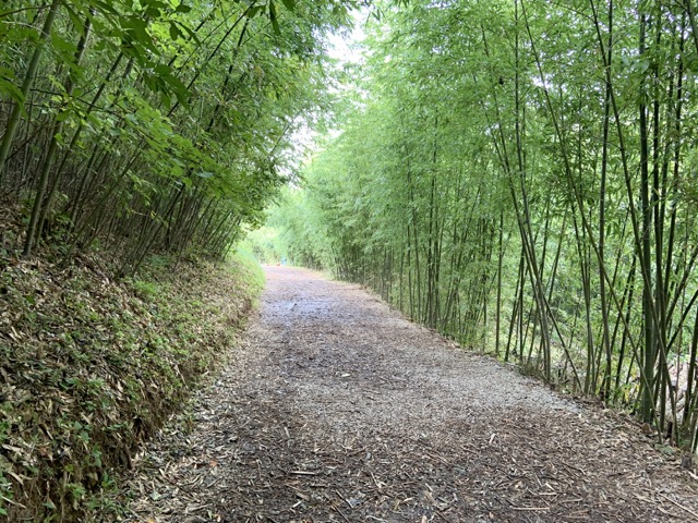 IMG_0323 중간.jpeg