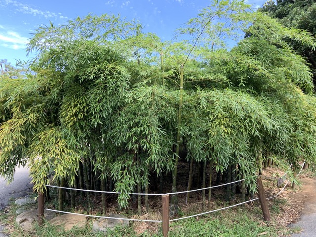 IMG_0373 중간.jpeg