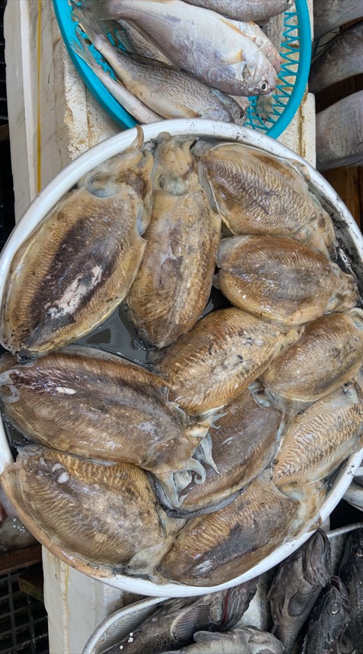 스크린샷 2025-06-10 192709.jpg