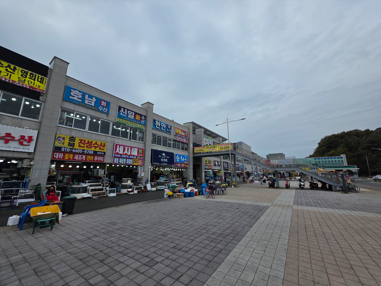 스크린샷 2025-11-09 135057.png