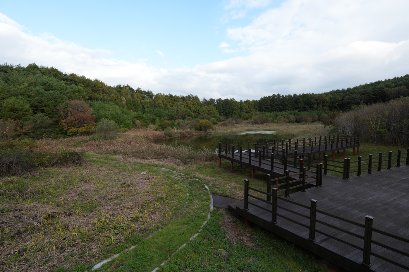 스크린샷 2025-11-09 143717.png