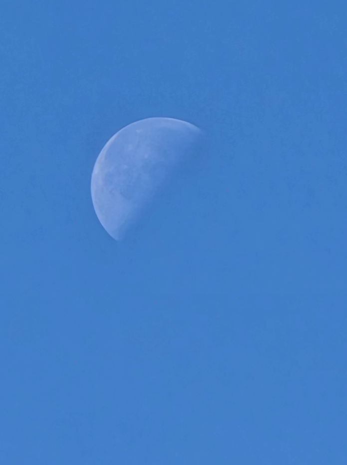 스크린샷 2025-11-14 204446.png