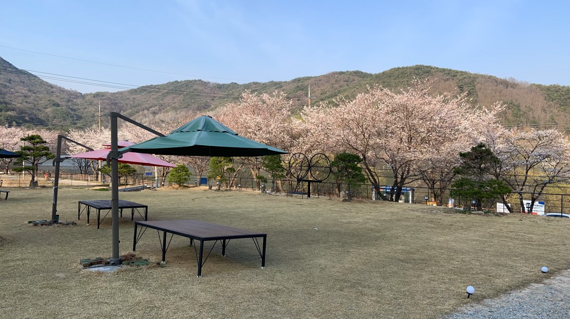 스크린샷 2024-05-22 233530.jpg