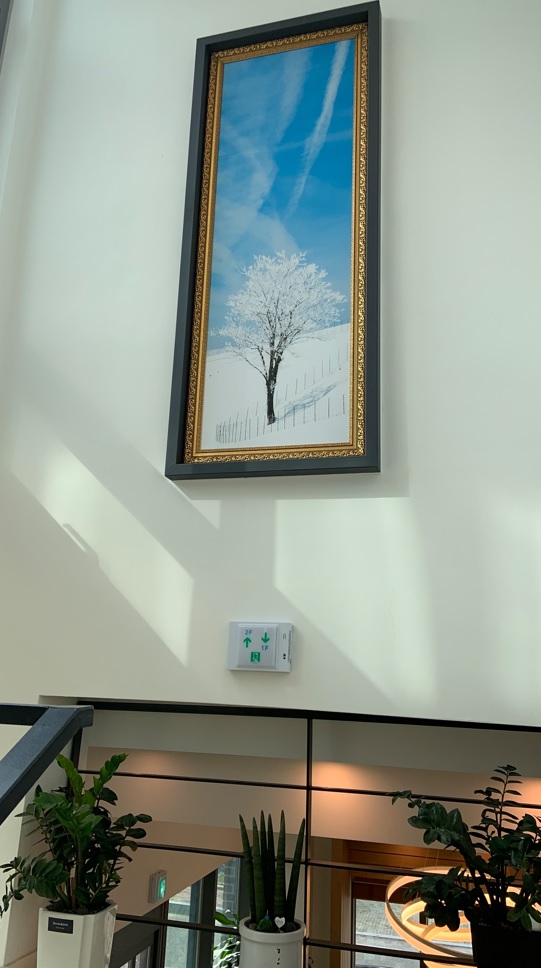 댐댐31.jpg