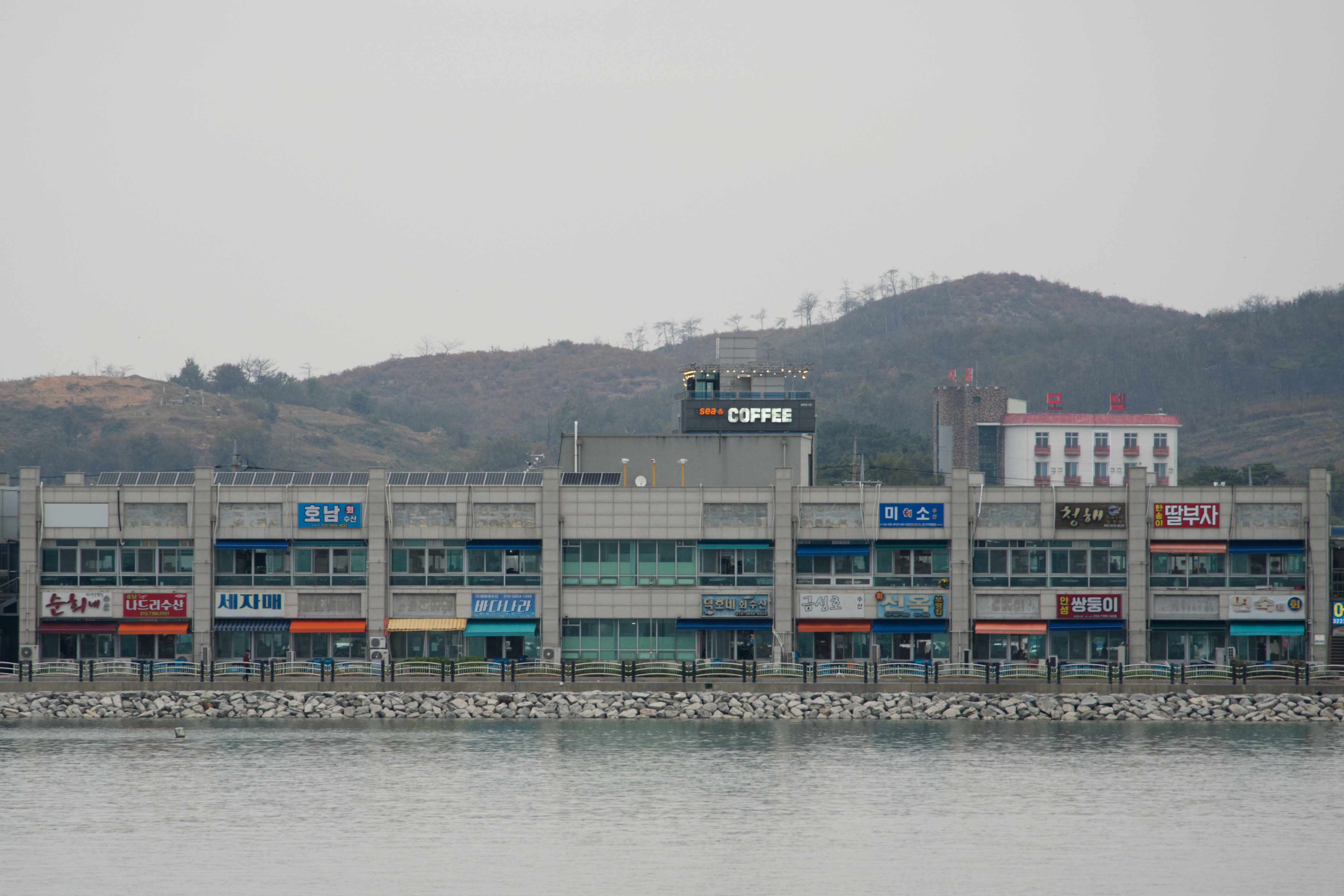 BJO08107.jpg