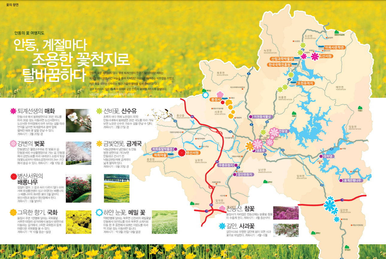 안동의 꽃 여행지도.png