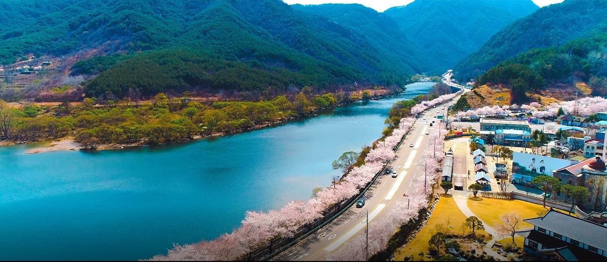 사진1. 화개 십리벚꽃길(2022년 모범 도시숲).jpg