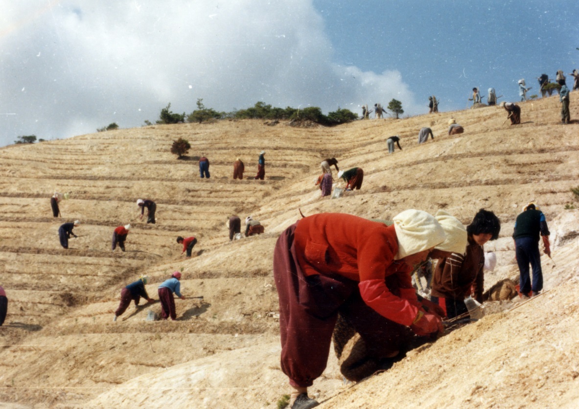 산림2.jpg