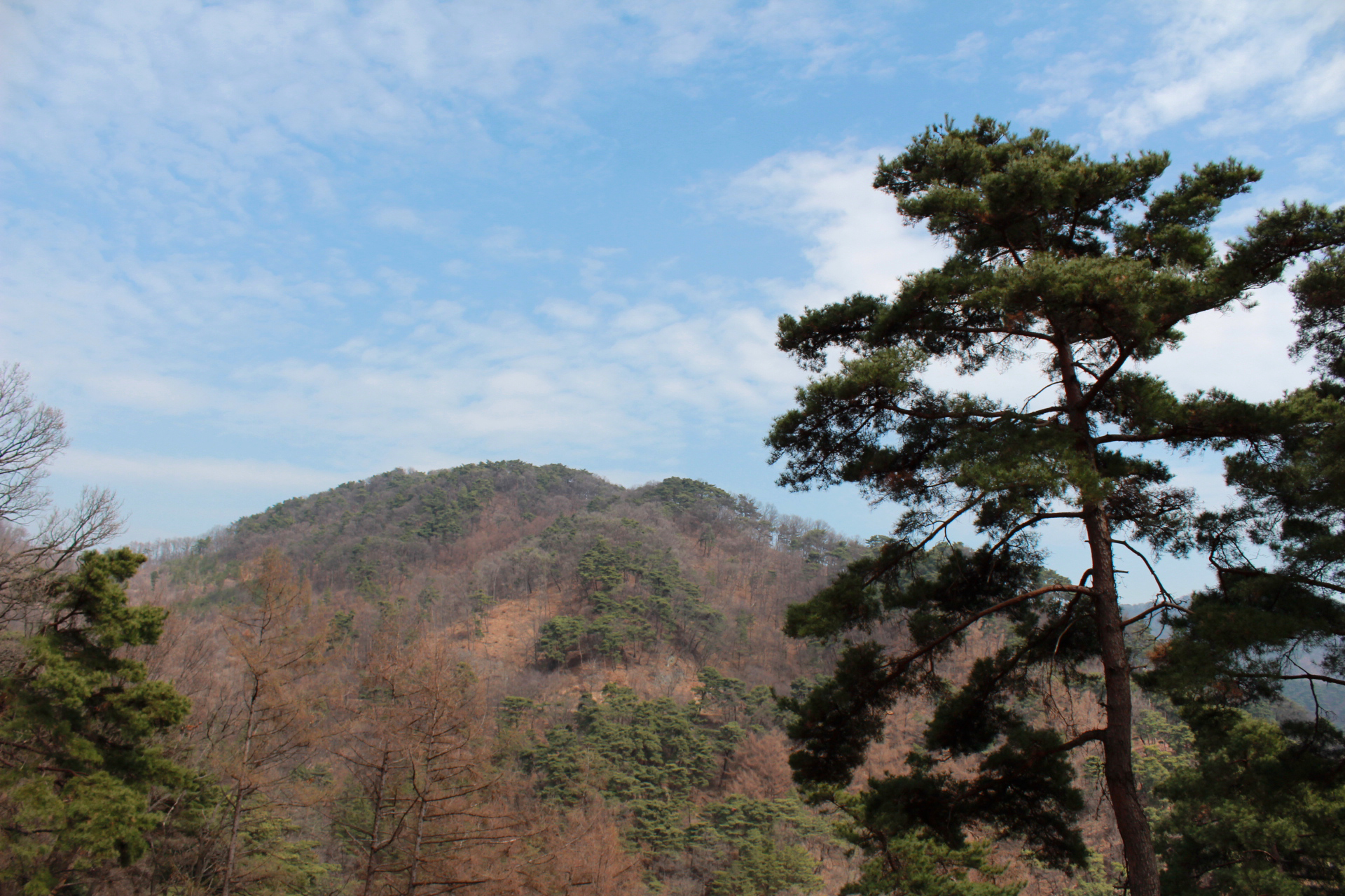 사진3_충주 오청산 근경2.jpg