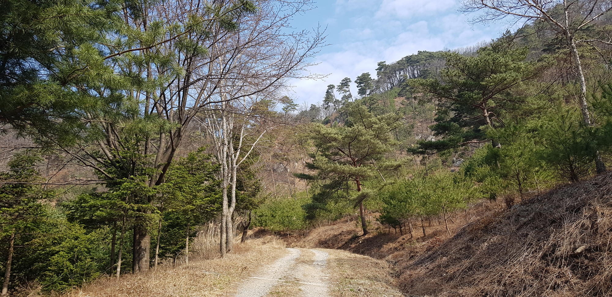 사진1_충주 오청산 숲길.jpg