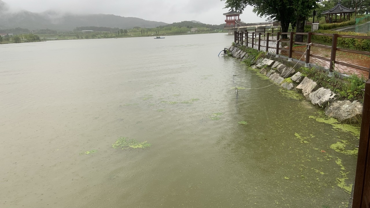 IMG_20240708_111429 크게.jpeg