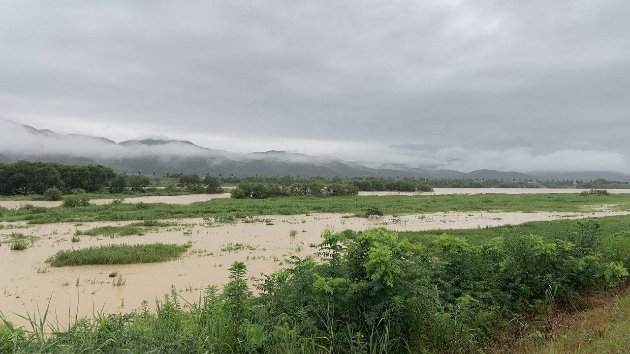 IMG_20240708_103817 크게.jpeg