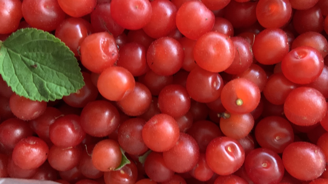 IMG_0964 크게.jpeg