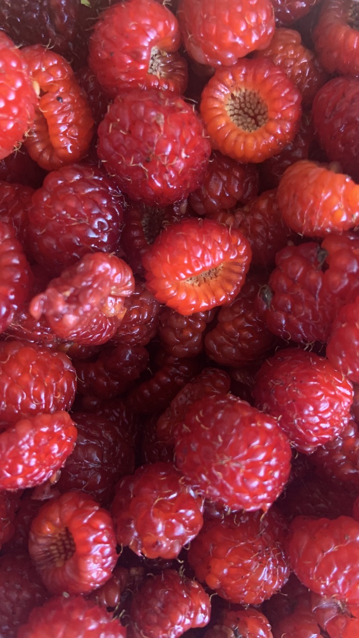 IMG_0960 크게.jpeg