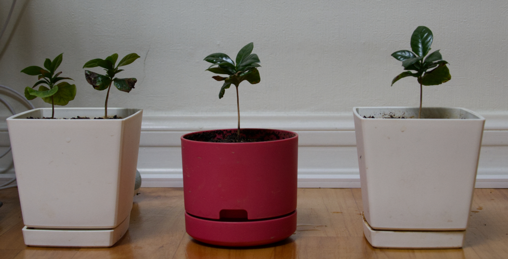 스크린샷 2025-04-20 182404.png