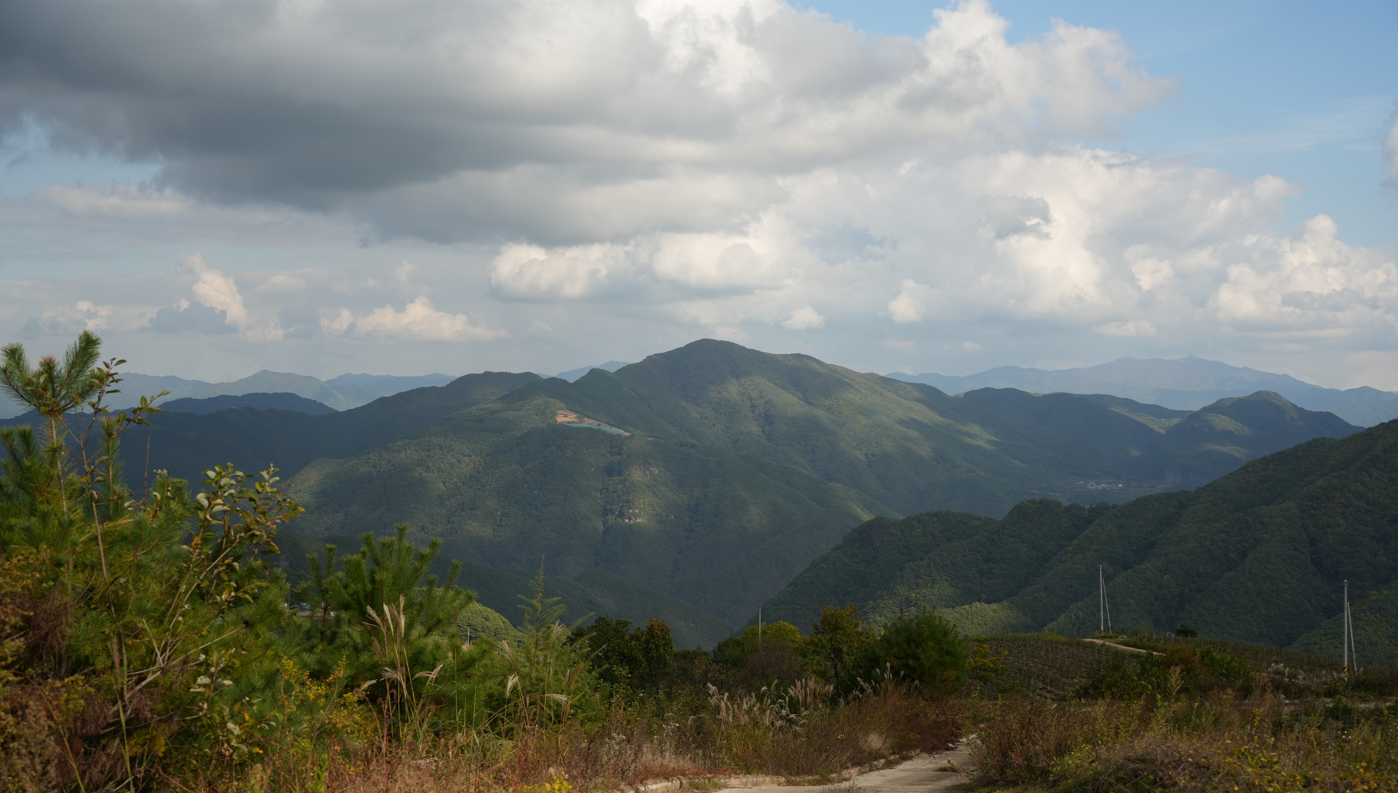 스크린샷 2025-11-09 150400.png