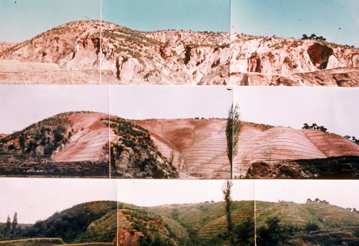 산림3.jpg