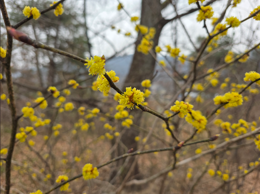 스크린샷 2026-03-25 221928.png