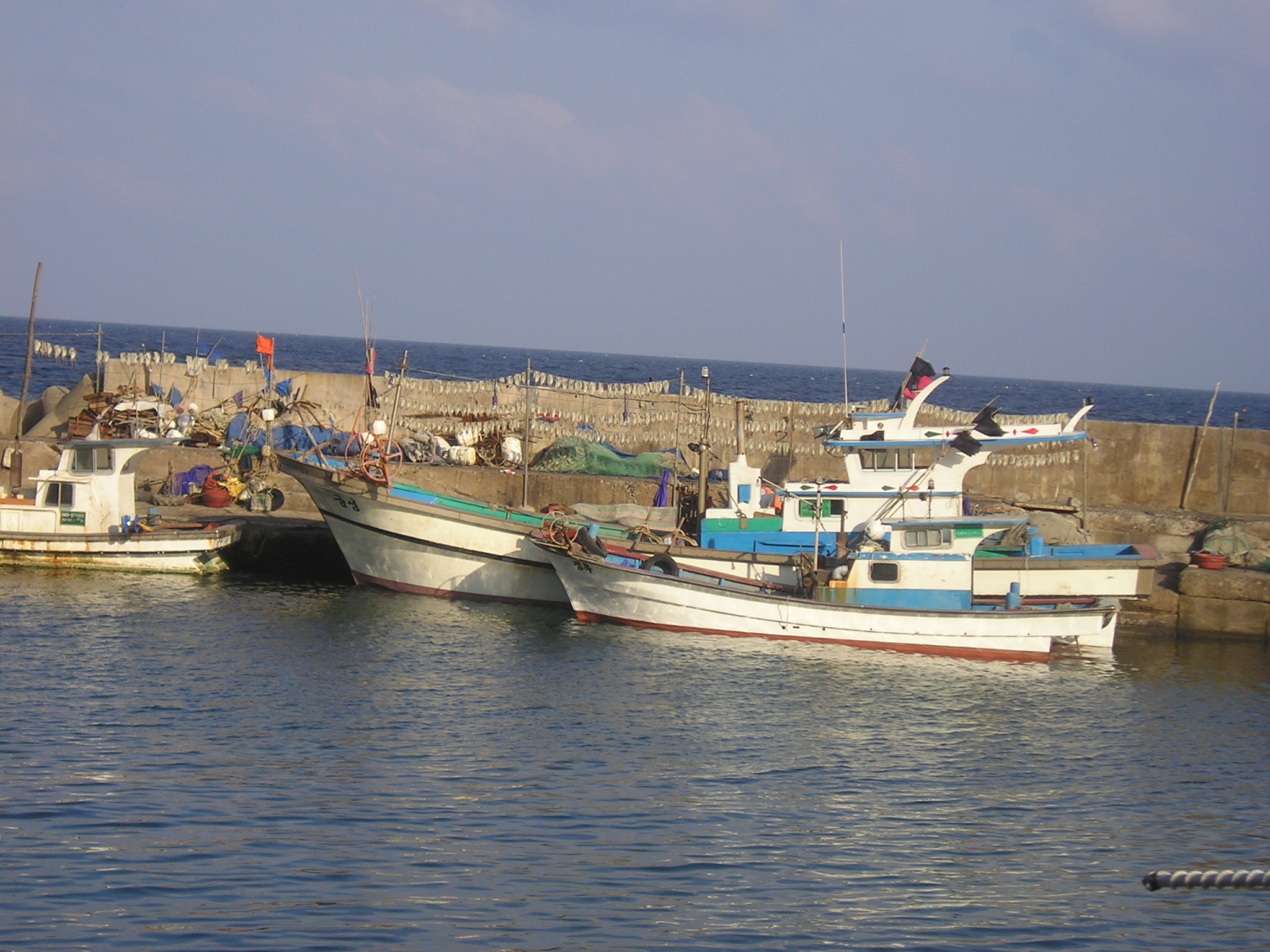 PA110023.JPG